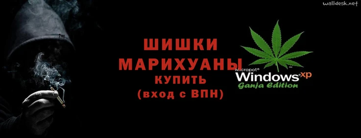 ГАЛЛЮЦИНОГЕННЫЕ ГРИБЫ Магас